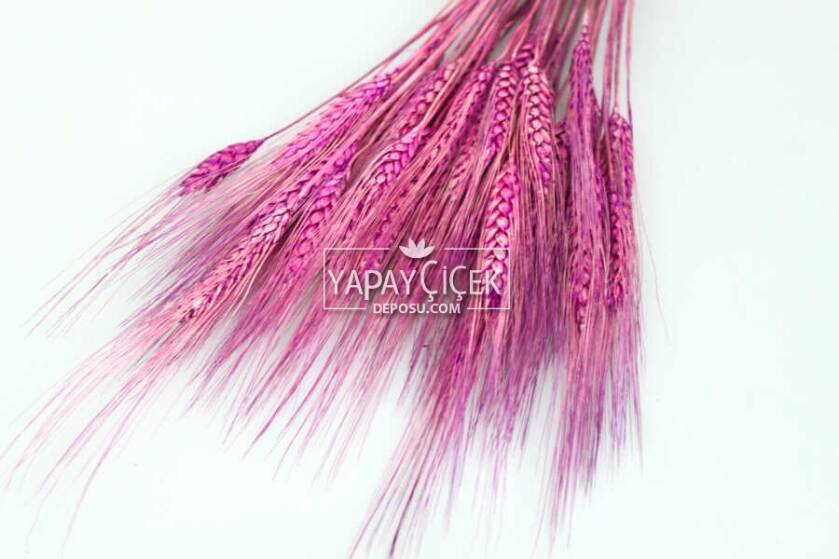 Kuru Başak Demeti Mor - 3