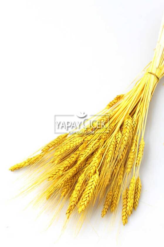 Kuru Başak Demeti Sarı - 1