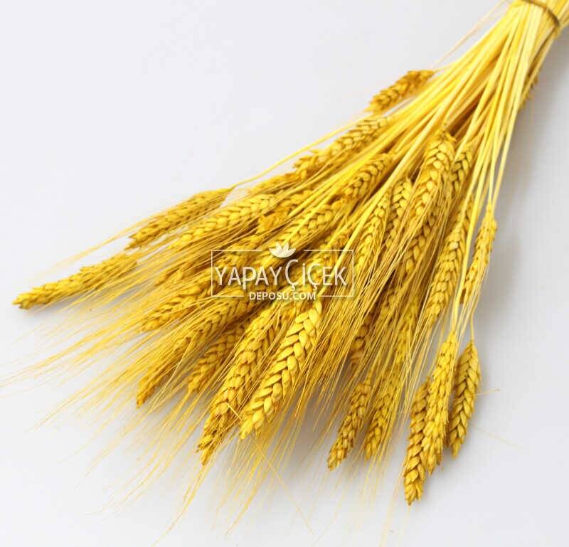 Kuru Başak Demeti Sarı - 2