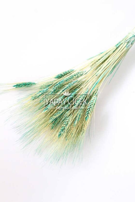 Kuru Başak Demeti Turkuaz - 1