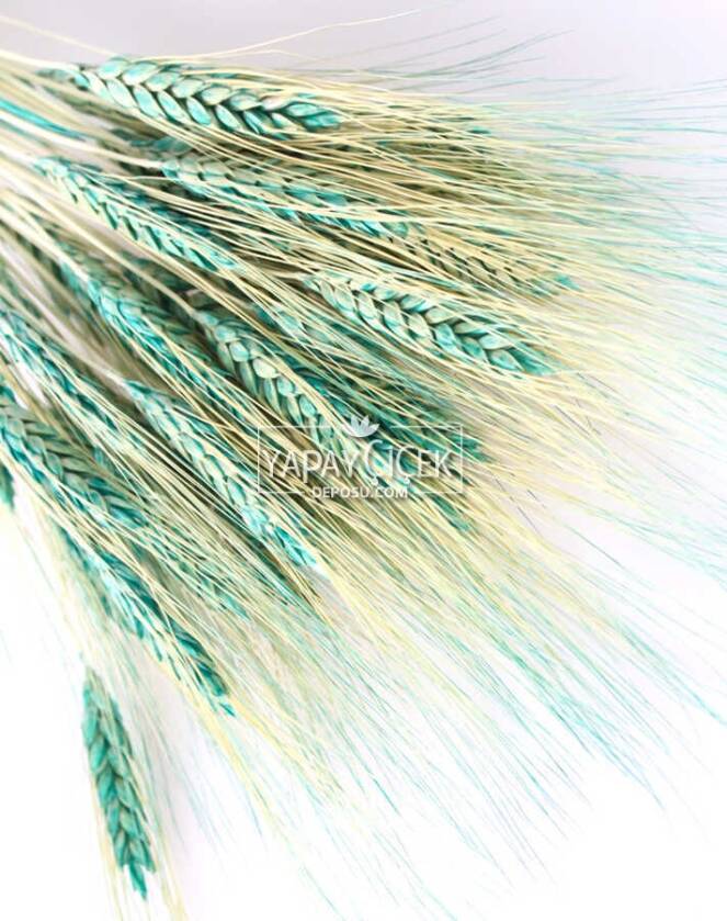 Kuru Başak Demeti Turkuaz - 2