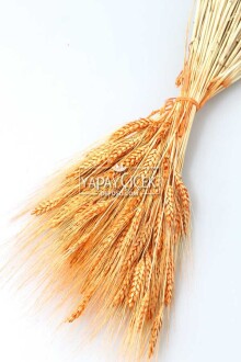 Kuru Başak Demeti Turuncu - Yapay Çiçek Sitesi