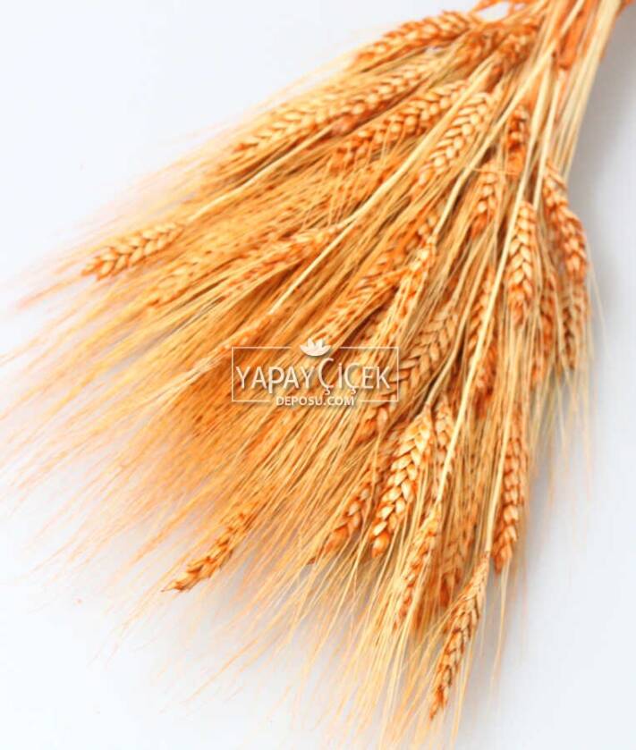 Kuru Başak Demeti Turuncu - 2