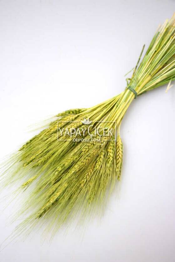 Kuru Başak Demeti Yeşil - 1