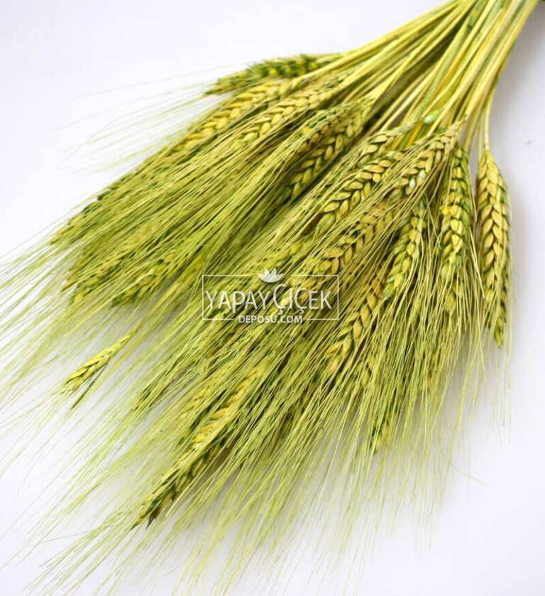 Kuru Başak Demeti Yeşil - 2