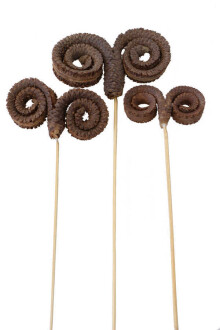 Kuru Çiçek 3 Boy Palm Ring 45 cm - Yapay Çiçek Sitesi