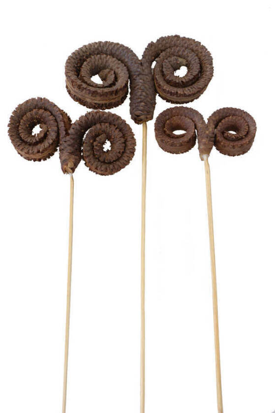 Kuru Çiçek 3 Boy Palm Ring 45 cm - 1