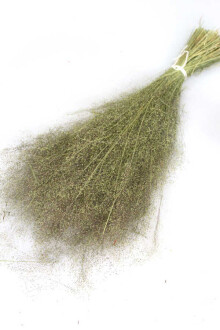 Kuru Çiçek Dağ Tüyü otu - Yapay Çiçek Sitesi