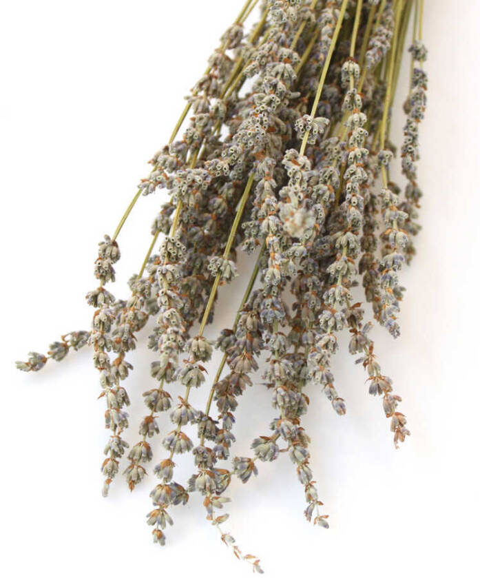 Kuru Çiçek Gerçek Lavanta Demeti(80 gr) Naturel - 2