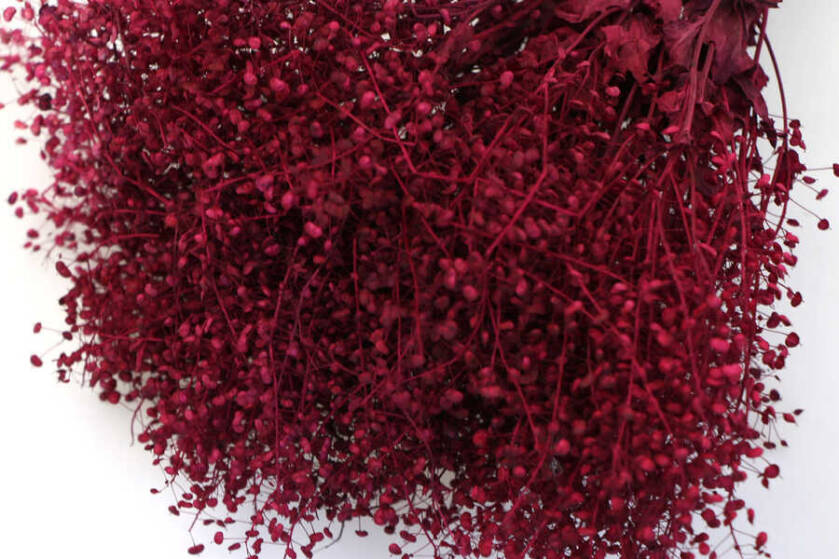 Kuru Çiçek Kalp Otu Demeti Bordo - 2