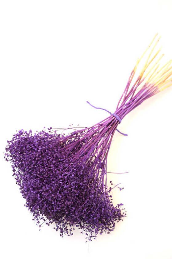 Kuru Çiçek Kalp Otu Demeti Mor - 1