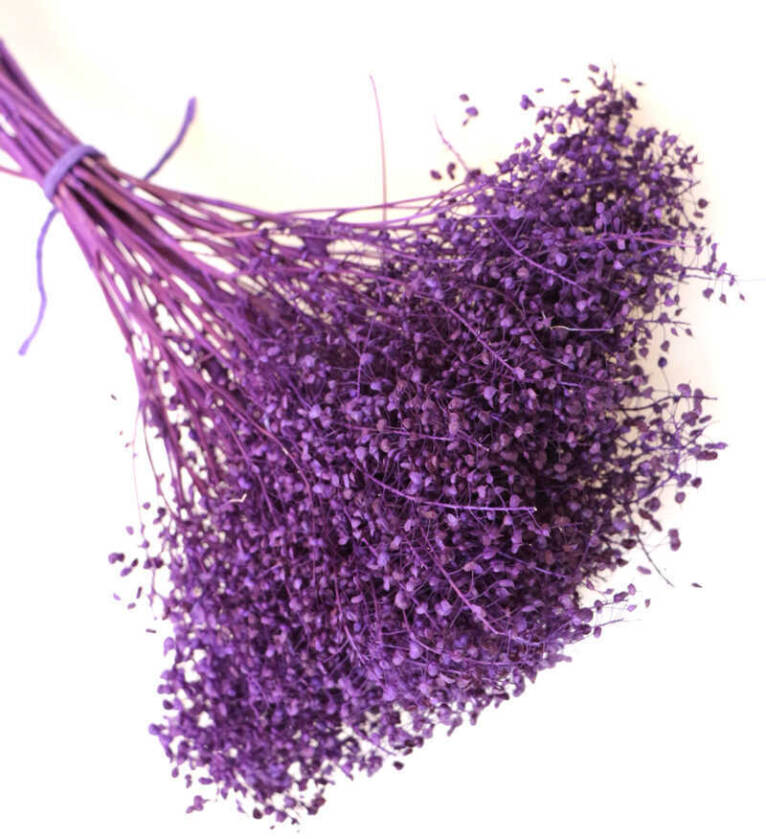 Kuru Çiçek Kalp Otu Demeti Mor - 2