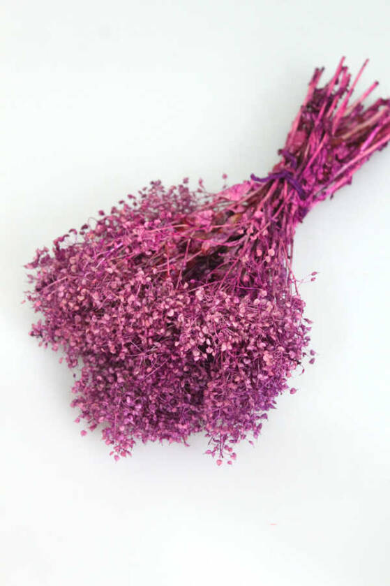 Kuru Çiçek Kalp Otu Demeti Mürdüm - 1