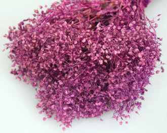 Kuru Çiçek Kalp Otu Demeti Mürdüm - 2