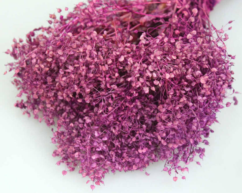 Kuru Çiçek Kalp Otu Demeti Mürdüm - 2