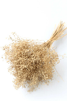 Kuru Çiçek Kalp Otu Demeti Naturel - Yapay Çiçek Sitesi