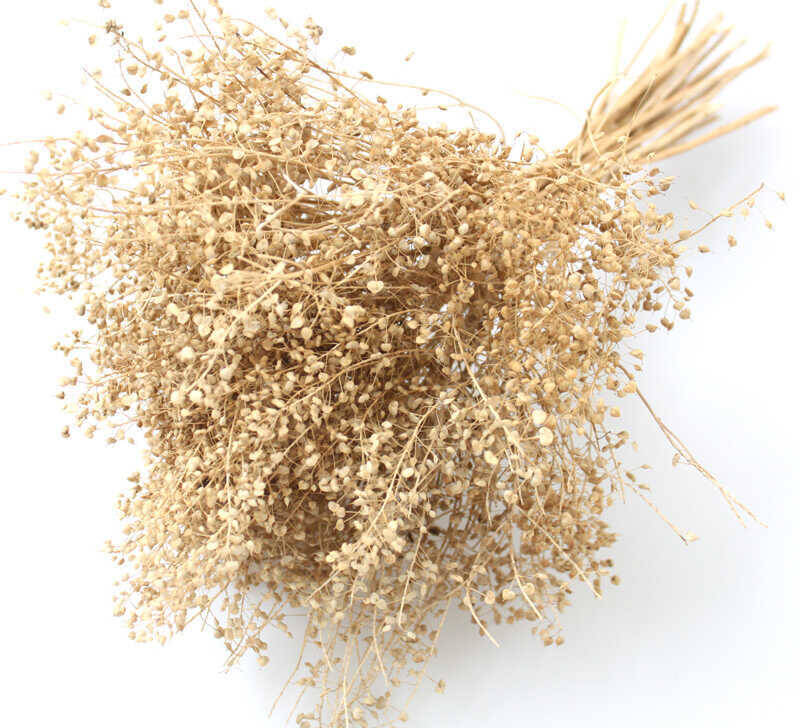 Kuru Çiçek Kalp Otu Demeti Naturel - 2