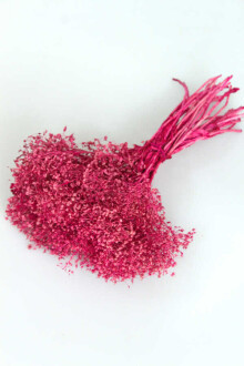 Kuru Çiçek Kalp Otu Demeti Pembe - Yapay Çiçek Sitesi