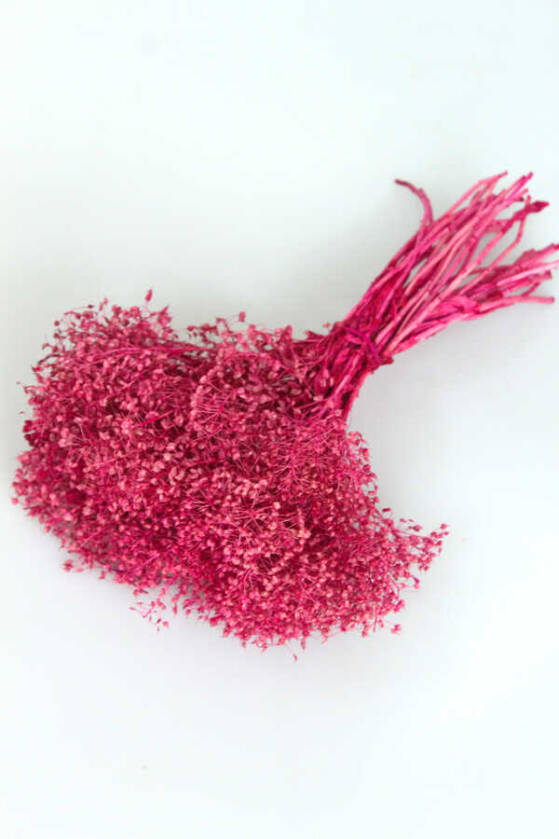 Kuru Çiçek Kalp Otu Demeti Pembe - 1