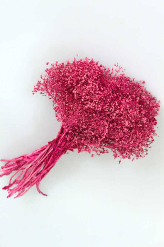 Kuru Çiçek Kalp Otu Demeti Pembe - 2