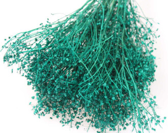 Kuru Çiçek Kalp Otu Demeti Petrol Yeşili - 2