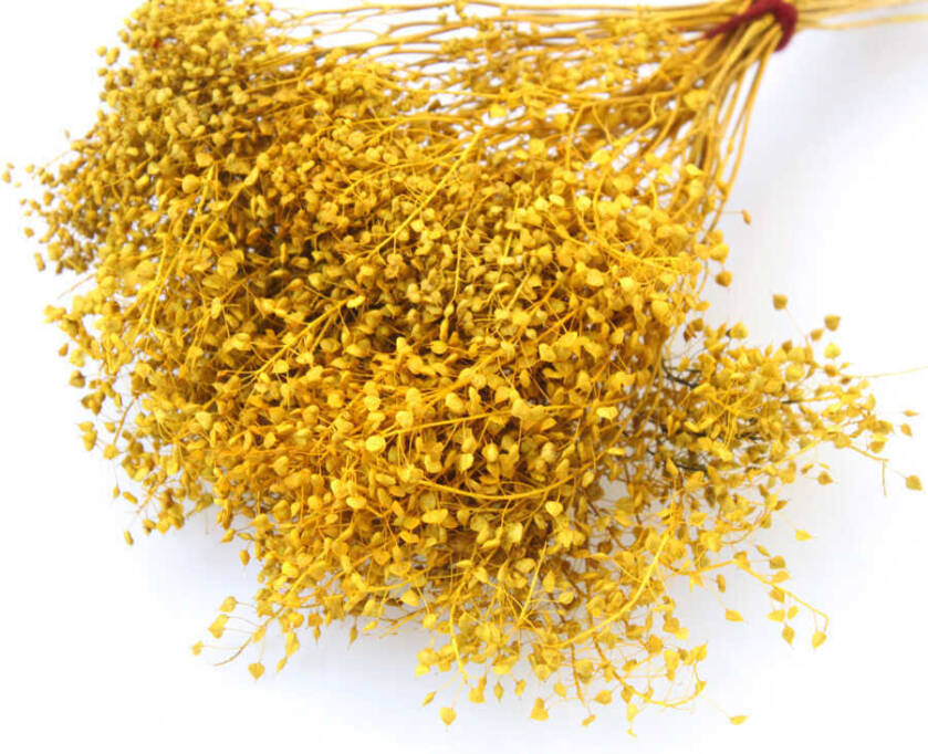 Kuru Çiçek Kalp Otu Demeti Sarı - 2