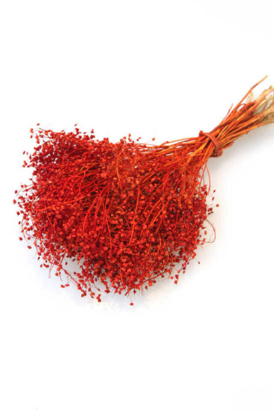 Kuru Çiçek Kalp Otu Demeti Turuncu - 1