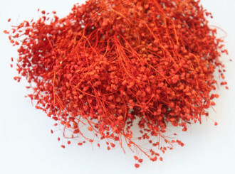 Kuru Çiçek Kalp Otu Demeti Turuncu - 2