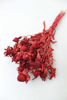 Kuru Çiçek Kartamus Bordo - Yapay Çiçek Sitesi