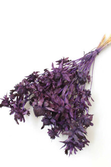 Kuru Çiçek Kartamus Mor - Yapay Çiçek Sitesi