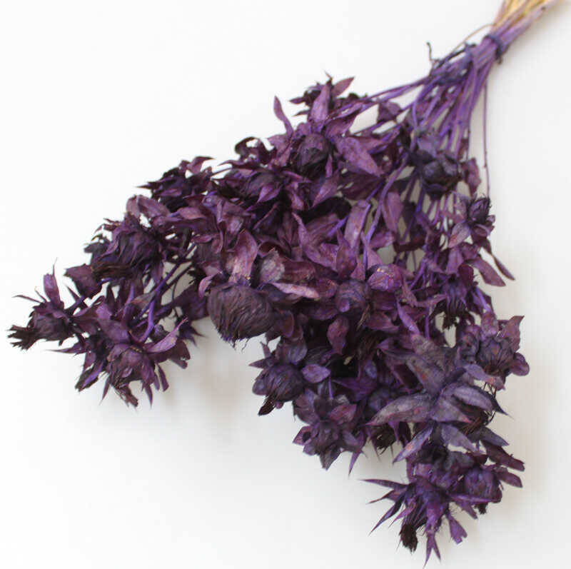 Kuru Çiçek Kartamus Mor - 2