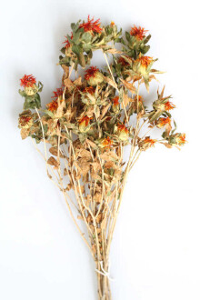 Kuru Çiçek Kartamus Naturel - Yapay Çiçek Sitesi