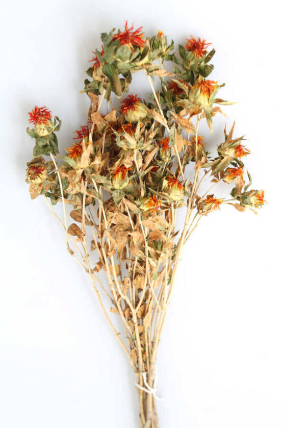 Kuru Çiçek Kartamus Naturel - 1