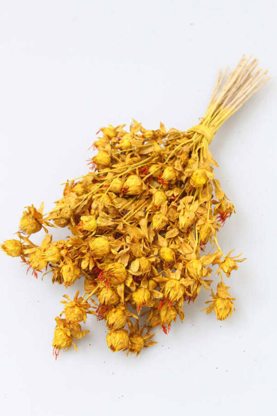 Kuru Çiçek Kartamus Sarı - 1