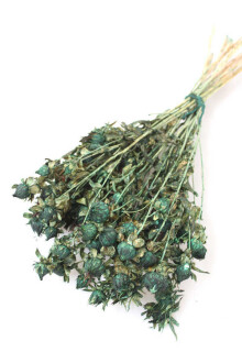 Kuru Çiçek Kartamus Yeşil - Yapay Çiçek Sitesi