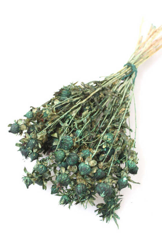 Kuru Çiçek Kartamus Yeşil - 1