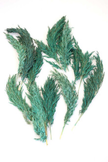 Kuru Çiçek Küçük Pampas Püskülü 10lu Yeşil - Yapay Çiçek Sitesi