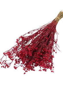 Kuru Çiçek Kuru Pıtırcık Papatya Çiçeği Kırmızı - Yapay Çiçek Sitesi