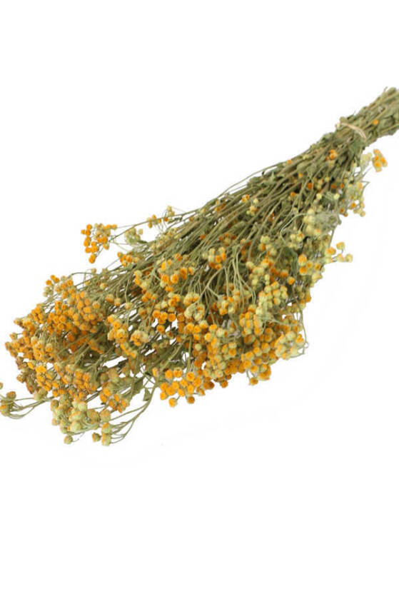 Kuru Çiçek Kuru Pıtırcık Papatya Çiçeği Naturel - 1