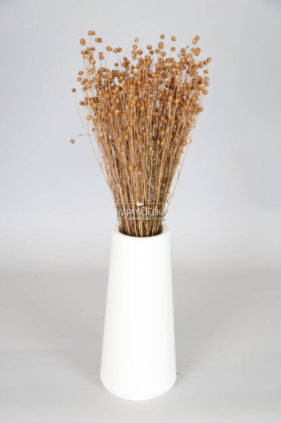 Kuru Çiçek Luna Otu Bronz - 1