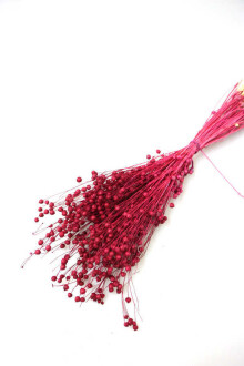 Kuru Çiçek Luna Otu Canlı Bordo - Yapay Çiçek Sitesi