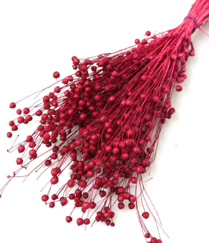 Kuru Çiçek Luna Otu Canlı Bordo - 2