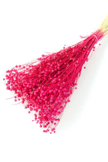 Kuru Çiçek Luna Otu Fuşya - Yapay Çiçek Sitesi