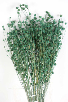 Kuru Çiçek Luna Otu Haki Yeşili - 2