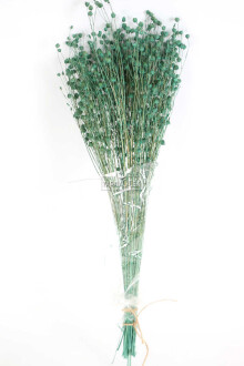 Kuru Çiçek Luna Otu Haki Yeşili - 3