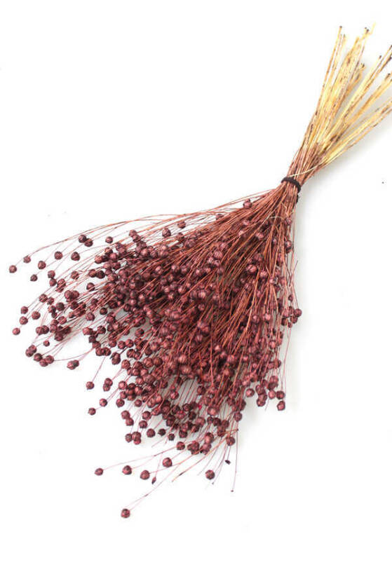 Kuru Çiçek Luna Otu Kahverengi - 1