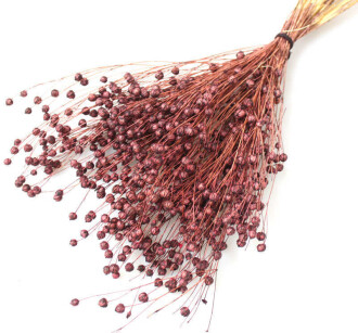 Kuru Çiçek Luna Otu Kahverengi - 2