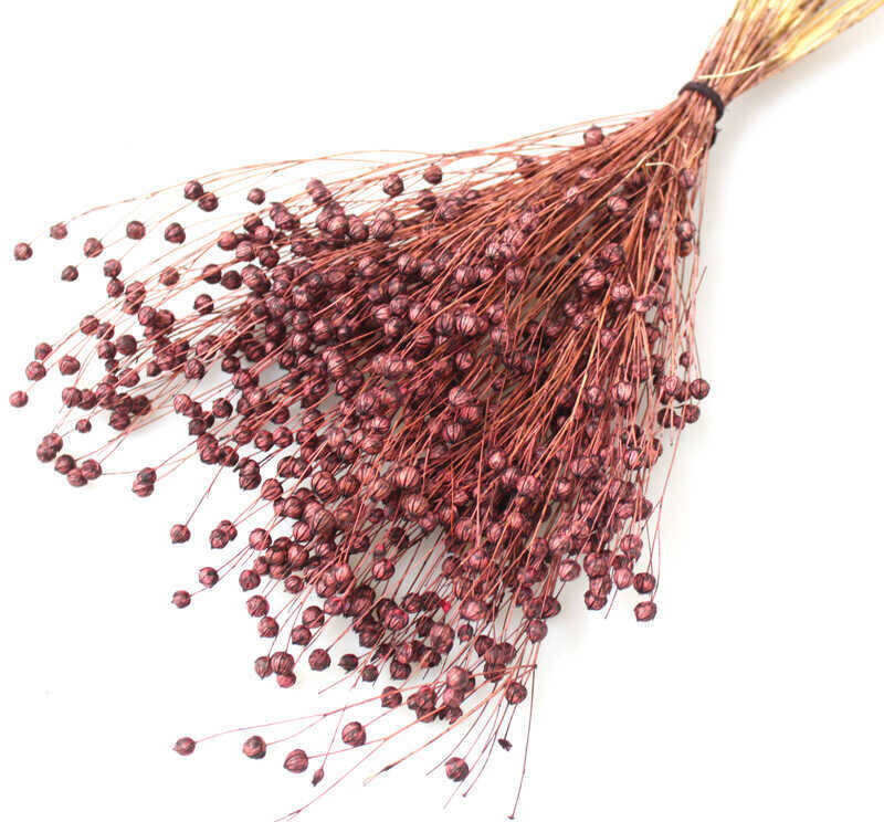 Kuru Çiçek Luna Otu Kahverengi - 2