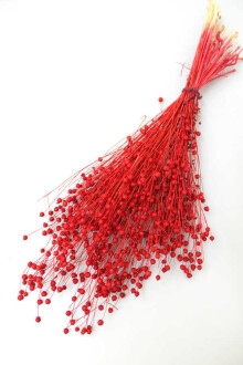 Kuru Çiçek Luna Otu Kırmızı - Yapay Çiçek Sitesi