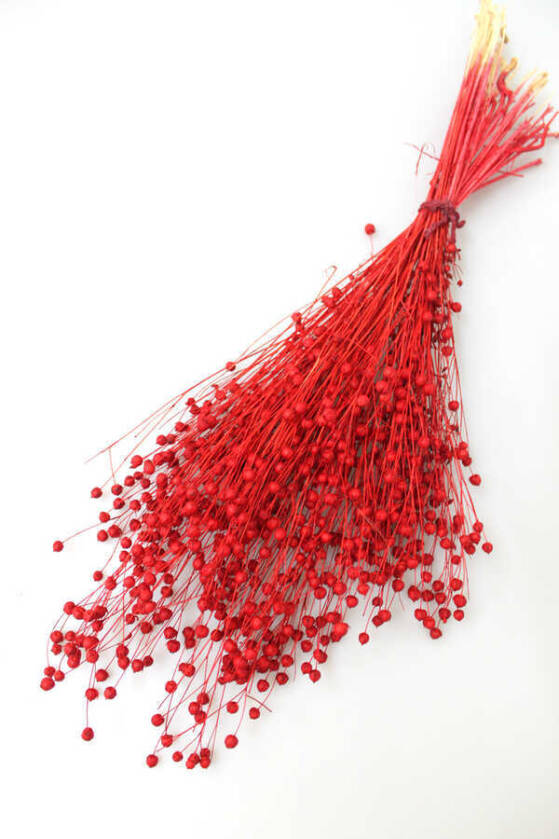 Kuru Çiçek Luna Otu Kırmızı - 1